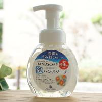 泡ハンドソープ (ポンプ) 250ml リマナチュラル　清潔＆うるおいキープ　人と地球に優しいHANDSOAP　国産椿油配合 (保湿)　一般肌・敏感肌用　 | 健康ストア健友館