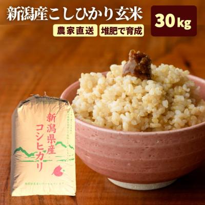 玄米30kg（産地：新潟）の商品一覧 通販 - Yahoo!ショッピング