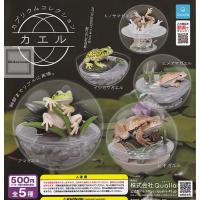 カプリウムコレクション カエル 全5種セット (ガチャ ガシャ コンプリート) | キッズルーム
