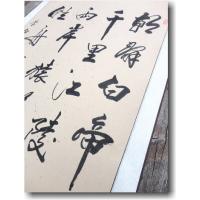 民間仕入れ品　中国明時代の肉筆　掛け軸BD329A12-1 中国雑貨の蘇州屋 ヤフー店 - 掛け軸｜Yahoo!ショッピング