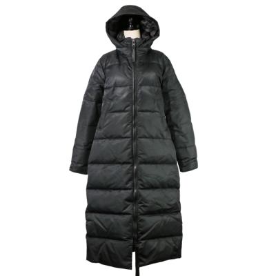カナダグース ダウン（レディースファッション）（サイズ（S/M/L）：L 
