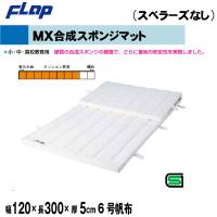 送料無料　FLAP　仲條　体操マット　MX合成スポンジマット　120×300×5cm　6号帆布F1137　法人限定 | 喜共屋 本店