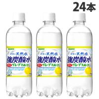 サンガリア 伊賀の天然水強炭酸水 グレープフルーツ 500ml×24本 炭酸 炭酸水 強炭酸水 割材 炭酸飲料 天然水炭酸水 | よろずやマルシェYahoo!ショッピング店