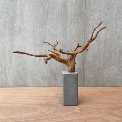 盆栽流木のおすすめ人気商品一覧 通販 - Yahoo!ショッピング