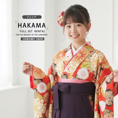 十三参り着物（レンタル） | レンタル、各種サービス のおすすめ人気