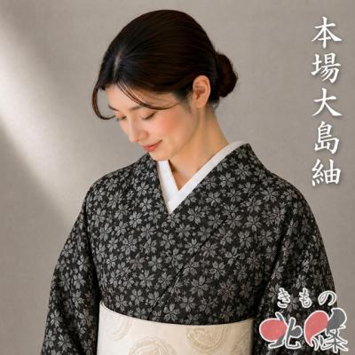 大島紬 着物のおすすめ人気商品一覧 通販 - Yahoo!ショッピング