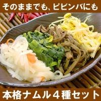ナムル 2人前 ピビンバセット　冷凍便 グルメ | kimuyase Yahoo!ショッピング店