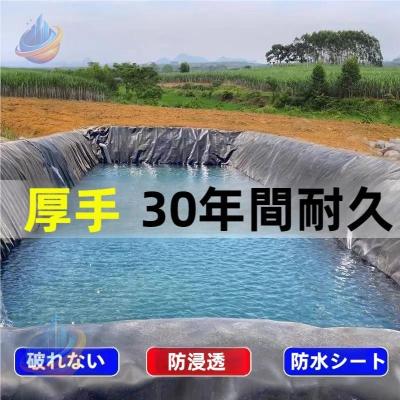 屋根 防水シート（タープ、テント設営用品）｜アウトドア、キャンプ