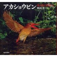 日本の野鳥  アカショウビン―火の鳥に出会った | 紀伊國屋書店
