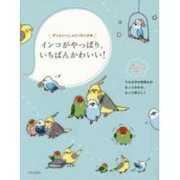 インコがやっぱり、いちばんかわいい！ | 紀伊國屋書店