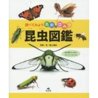 調べてみよう名前のひみつ  昆虫図鑑 | 紀伊國屋書店