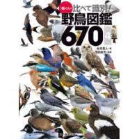 ♪鳥くんの比べて識別！野鳥図鑑６７０ （第４版） | 紀伊國屋書店Yahoo!店