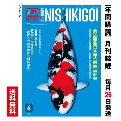 錦鯉（本、雑誌、コミック）の商品一覧 通販 - Yahoo!ショッピング