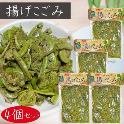 こごみ 山菜（野菜） | 食品 のおすすめ人気商品一覧 通販 - Yahoo