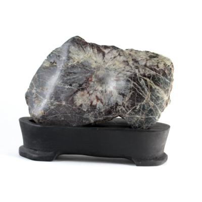 菊花石 一輪の菊 640g 根尾谷産 自然石 希少 レア 木製専用台座付き 貴重 菊花石 一輪の菊 640g 根尾谷産 自然石 希少 レア 木製専用台座