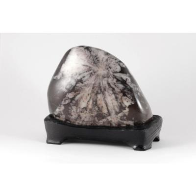 菊花石のおすすめ人気商品一覧 通販 - Yahoo!ショッピング