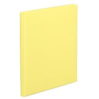ナカバヤシ フエルアルバム A4 100年台紙 デジタルフリー イエロー アH-A4F-142-Y | キリーショップ ヤフー店