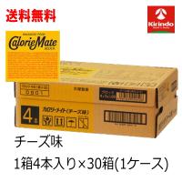 送料無料 30個セット(ケース) 大塚製薬 カロリーメイト ブロック チーズ味 4本入り×30個セット(ケース) 軽減税率対象商品 | キリン堂通販shop2号店