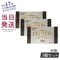 エステプロラボ プロトングランプロ 60粒 お得3個セット 日本製 美容 健康食品 ダイエット Esthe Pro Labo 水素 カルシウム 賞味期限2026年3月 | KSK東京本店