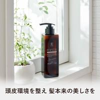 KISO ボタニカルヘアケアシャンプー モイスト 400ml ノンシリコン ダメージケア ビオチン キャピキシル スカルプ 無添加 国産 日本製 リニューアル | KISOCARE
