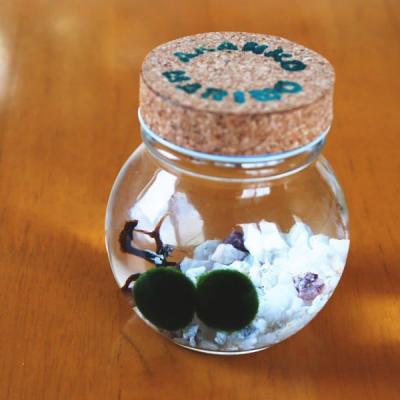 まりもの商品一覧 通販 - Yahoo!ショッピング