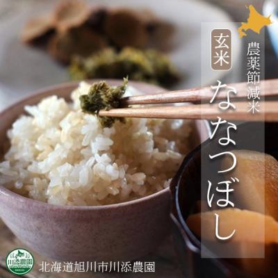 ななつぼし 玄米のおすすめ人気商品一覧 通販 - Yahoo!ショッピング