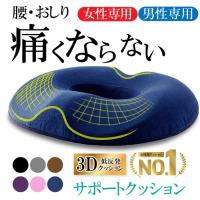 骨盤矯正クッション 腰痛 クッション 骨盤矯正 椅子 腰痛 姿勢矯正 痔 低反発クッション 椅子用 | キタムラストア5