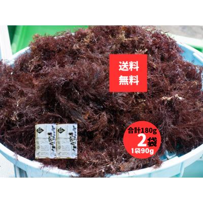 天草 テングサの商品一覧 通販 - Yahoo!ショッピング