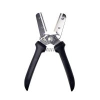 新型 栗くり坊主 | アドキッチン