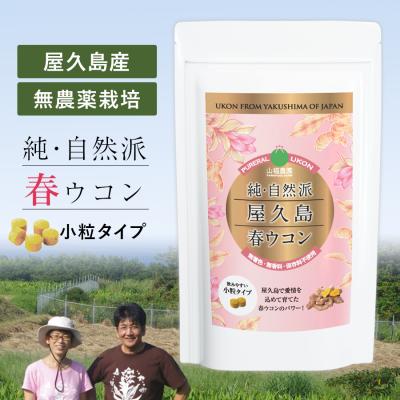 種子島春ウコンの商品一覧 通販 - Yahoo!ショッピング
