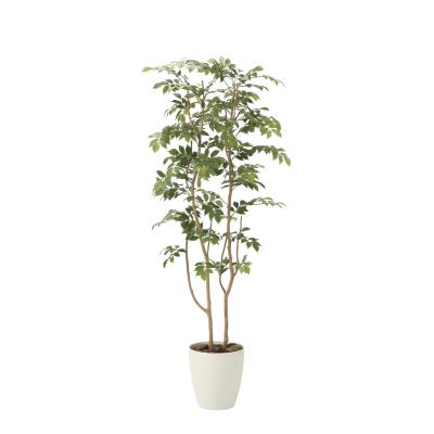 きつつき - 人工観葉植物｜Yahoo!ショッピング