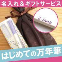 就職祝い 誕生日 送別会 ボールペン 名入れ プレゼント 名前入り ギフト 万年筆 入学祝い PILOT kakuno  転職 祝い 