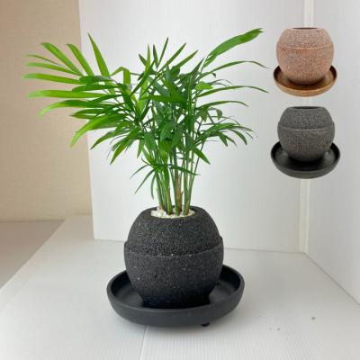 アクアプランターのおすすめ人気商品一覧 通販 - Yahoo!ショッピング