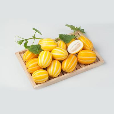 韓国チャメ　約5kg チャメ 5kg ☆代引不可 ※商品代金6,480円は送料として表示され