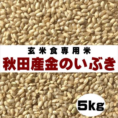 玄米 5kg(うるち米、玄米)の商品一覧|米、ごはん|米、雑穀 玄米 5kg(うるち米、玄米)の商品一覧|米、ごはん|米、雑穀