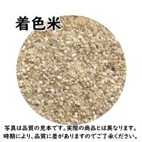 鳥の餌 エサ 10kg 着色米or砕米 : 米屋のこうむら - 通販 鳥の餌 エサ 10kg 着色米or砕米 : 米屋のこうむら - 通販