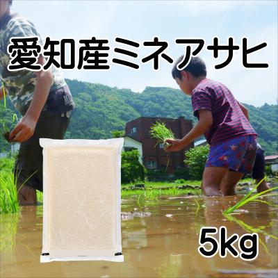 ミネアサヒ 玄米のおすすめ人気商品一覧 通販 - Yahoo!ショッピング