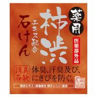 株式会社マックス 薬用 柿渋エキス配合石けん（100g） 【医薬部外品】  【北海道・沖縄は別途送料必要】【CPT】 | こうべ漢方研究所