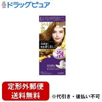 【定形外】【送料無料】 ダリヤ サロンドプロ　泡のヘアカラー　エクストラリッチ　白髪用　クリアブラウン　2 1セット 【TK350】【TKG】 | こうべ漢方研究所