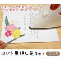 押し花 はがき 年賀状 手作り ポストカード アイロン 簡単 日本製  はがき用押し花キット 