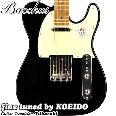 テレキャスター シンライン（Bacchus／ギター）｜楽器、器材 | 楽器