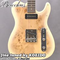 Bacchus TACTICS-BP/R BD-B(スペア弦サービス中！)　バッカス　エレキギター | 光栄堂楽器Yahoo!店