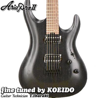 フレットレス（エレキギター、セミアコ、フルアコ本体）｜ギター｜楽器