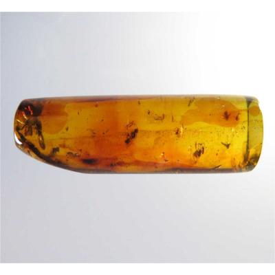 値下げ！！ 虫(蜂)入り琥珀 （黒檀製台座付き）