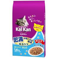◆カルカン ドライ 肥満が気になる猫用 まぐろと野菜味 (1.6kg) カルカン(kal kan) キャットフード | コーナンeショップ Yahoo!ショッピング店