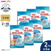 ロイヤルカナン 犬 ドッグフード ミニ インドア パピー 2kg×6個 室内で生活する小型犬専用 子犬用 | コジコジ