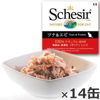 エントリーで+4倍！5月5日！シシア ゼリータイプ ツナ＆エビ 85g×14缶（キャットフード 猫 缶 猫缶 無添加） | コジコジ