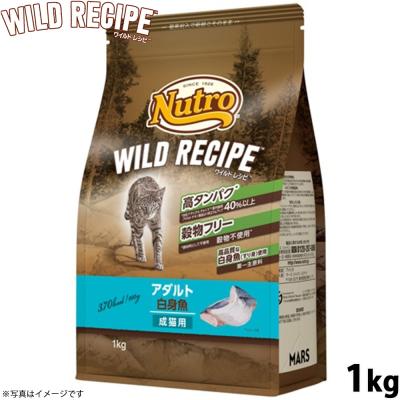 コジコジ - ワイルドレシピ｜Yahoo!ショッピング