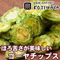 ゴーヤチップ 野菜チップス 140g ドライフルーツ 鮮度に自信あり ほんのりした苦みがサクサク美味い 