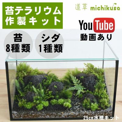 苔 テラリウム 苔 の 種類のおすすめ人気商品一覧 通販 - Yahoo